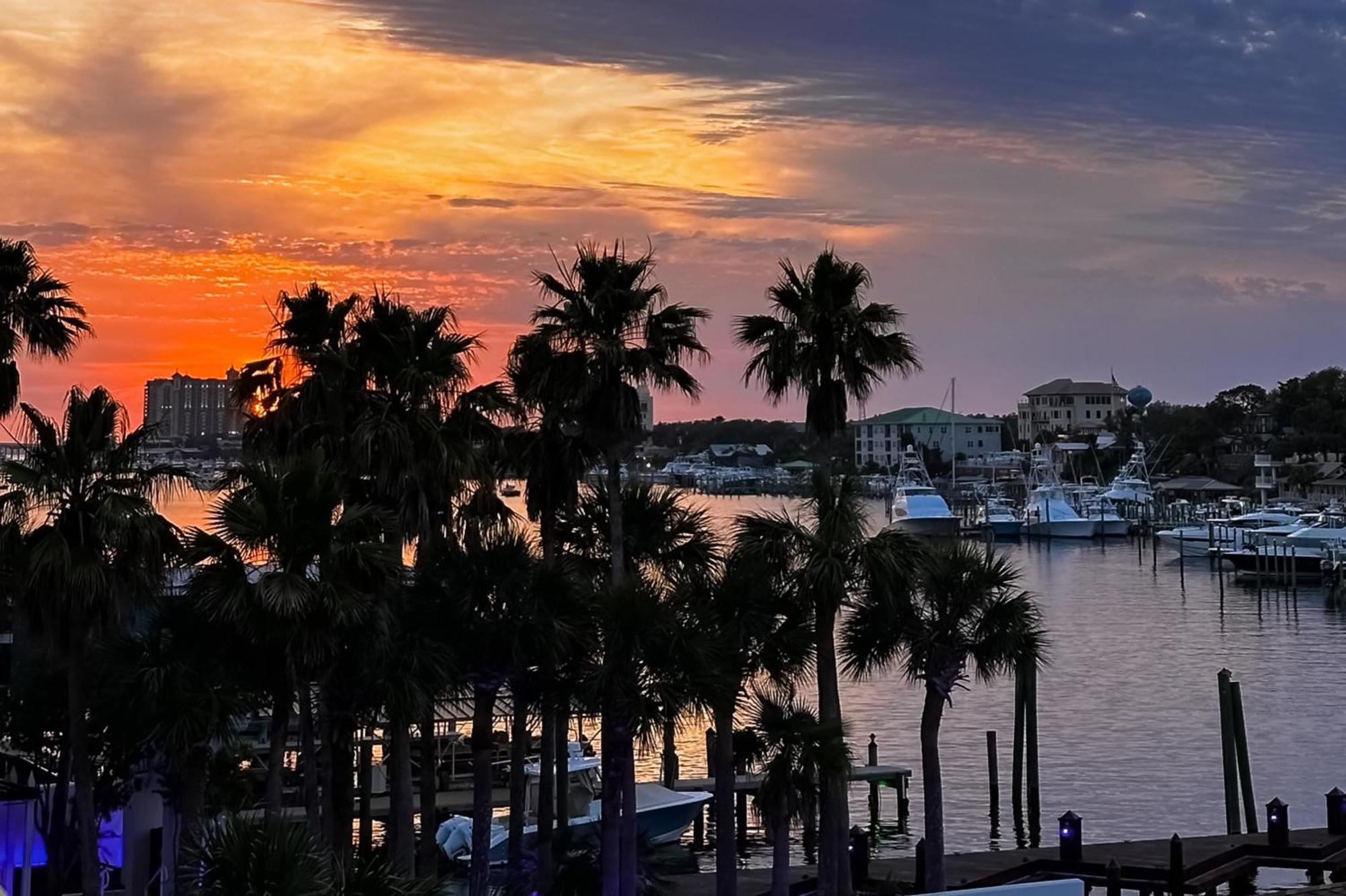 Dolphin Point Daire Destin Oda fotoğraf